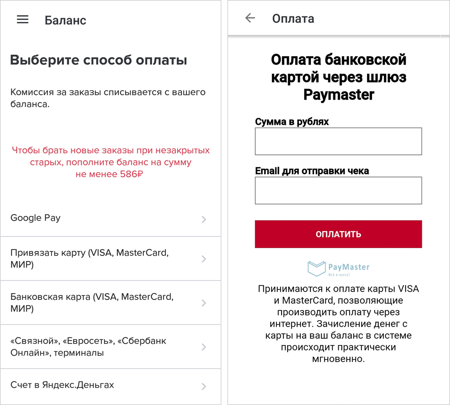 Форма для оплаты заказов такая же, как при покупке в любом интернет-магазине