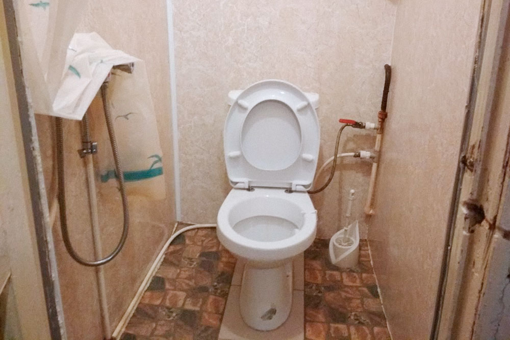 Душ в туалете, как в недорогих отелях южного Китая и Гонконга. Еще в Питере часто встречается душ на кухне, но мне такой вариант не нравится