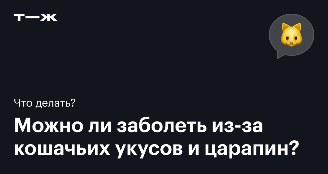 Восстановить кожаный диван от кошачьих царапин