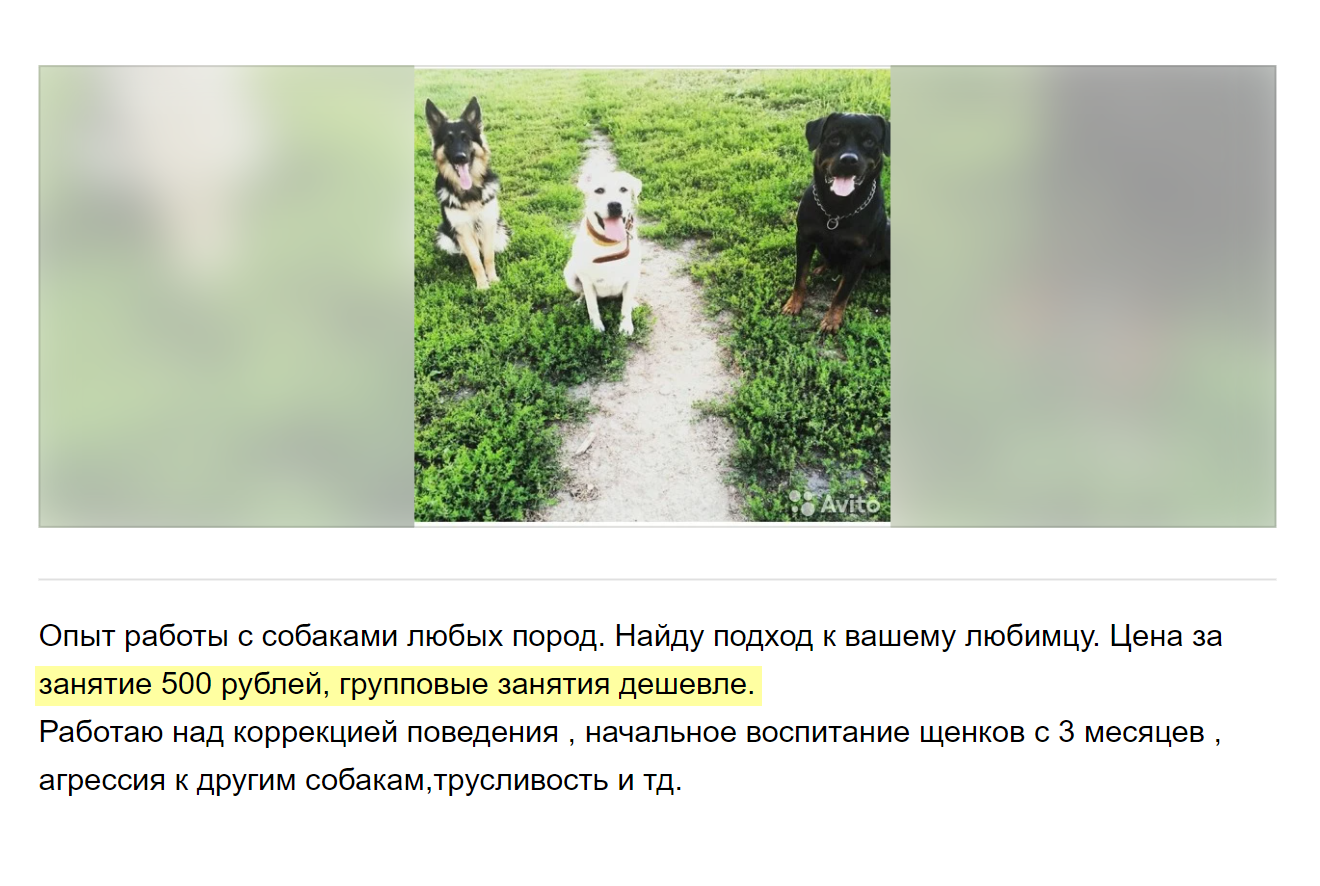 Занятия в группе дешевле индивидуальных