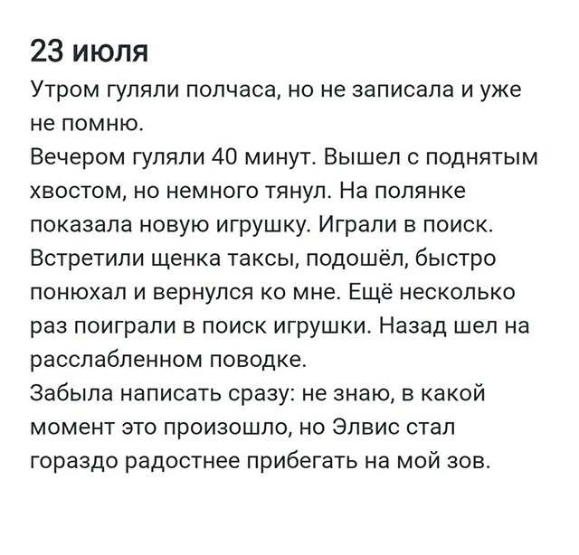 После прогулки трачу несколько минут, чтобы записать впечатления
