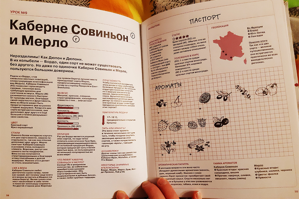 Уточняю в своем путеводителе по миру вина, что же мы пьем. Что-то очень сухое и терпкое