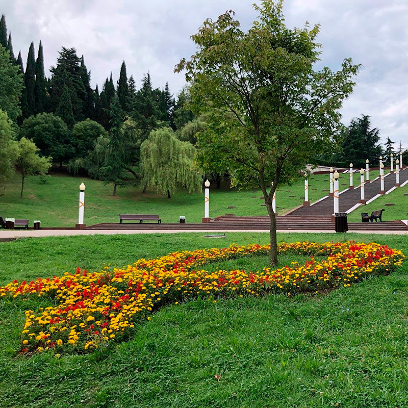 В двух шагах от дома у нас Завокзальный мемориальный комплекс. Там нет захоронений, он символический. Часто тут гуляем. Большая зеленая зона рядом с домом — что может быть лучше