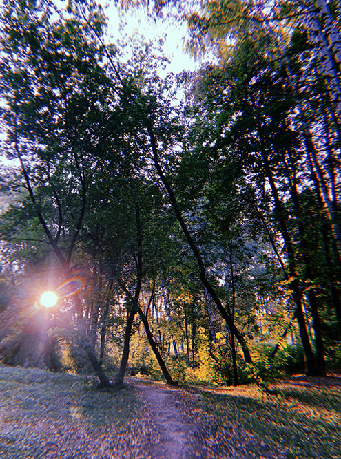 В парке классно, светит солнце