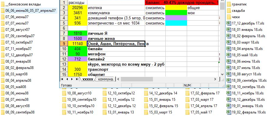 Я веду бюджет с 2007 года и записываю все до рубля