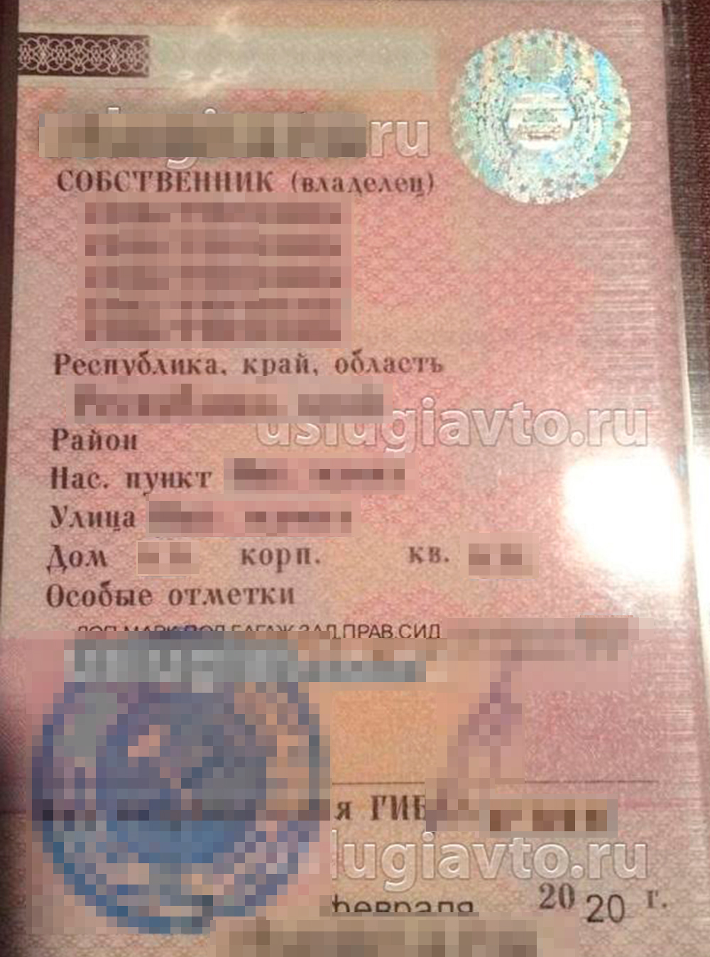 Так выглядит СТС с информацией о маркировке. Источник: «Услугиавто-ру»