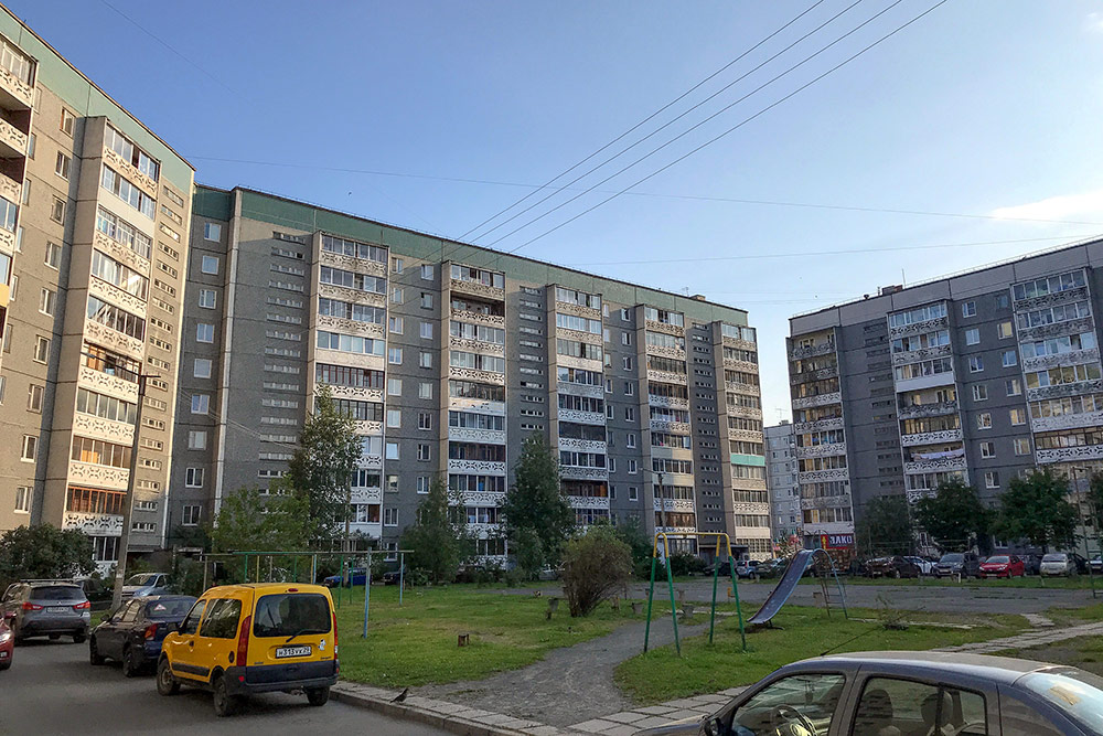 Почти весь спальный район Древлянка состоит из таких домов