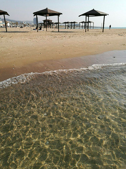 В феврале мы ходили на пляж, температура воды была 18...20 °C