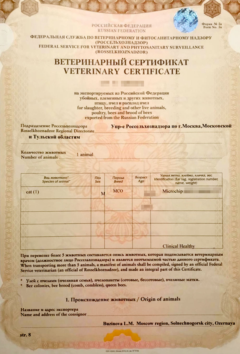 Сертификат моего кота, который куратор получил в аэропорту в обмен на записи о чипировании и прививках животного