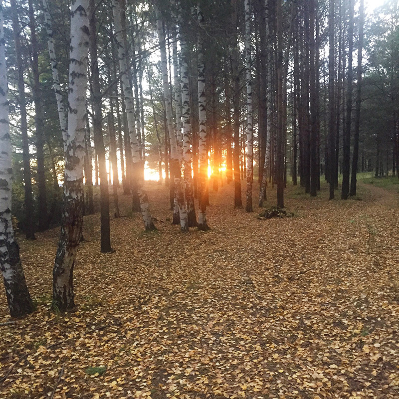 Закат