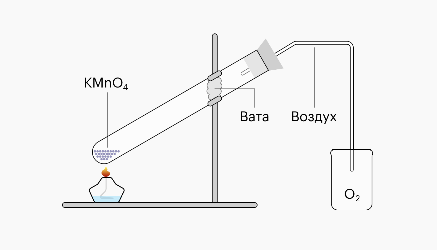 Какой класс вы окончили?