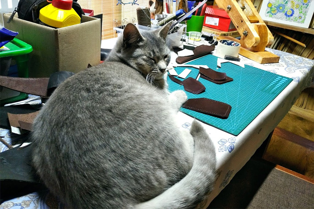 Коту нужно поспать именно здесь