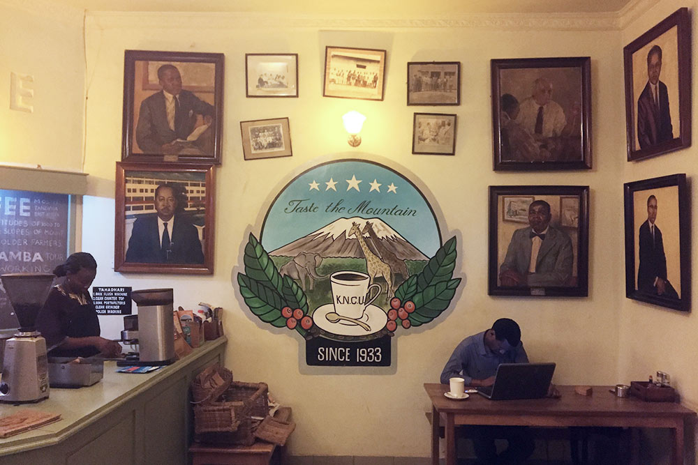 Единственная «европейская» кофейня в Моши Union Cafe. Это представительство союза кофейных производителей из Аруши — он помогает небольшим производителям делать кофе лучшего качества, расширять зоны сбыта, продавать его дороже и сокращать издержки