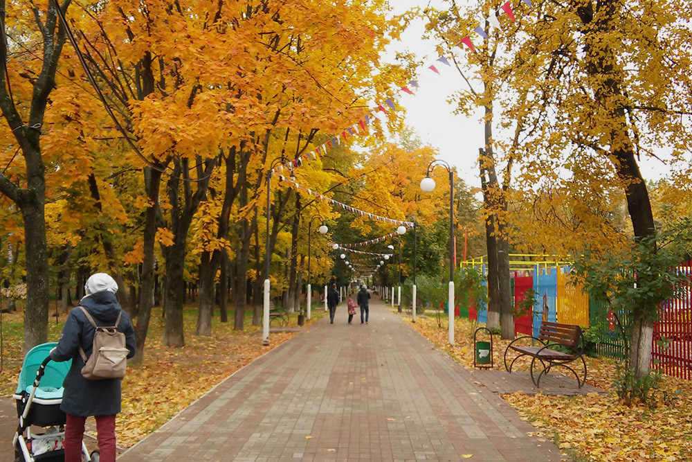 Не устаю любоваться им в любое время года