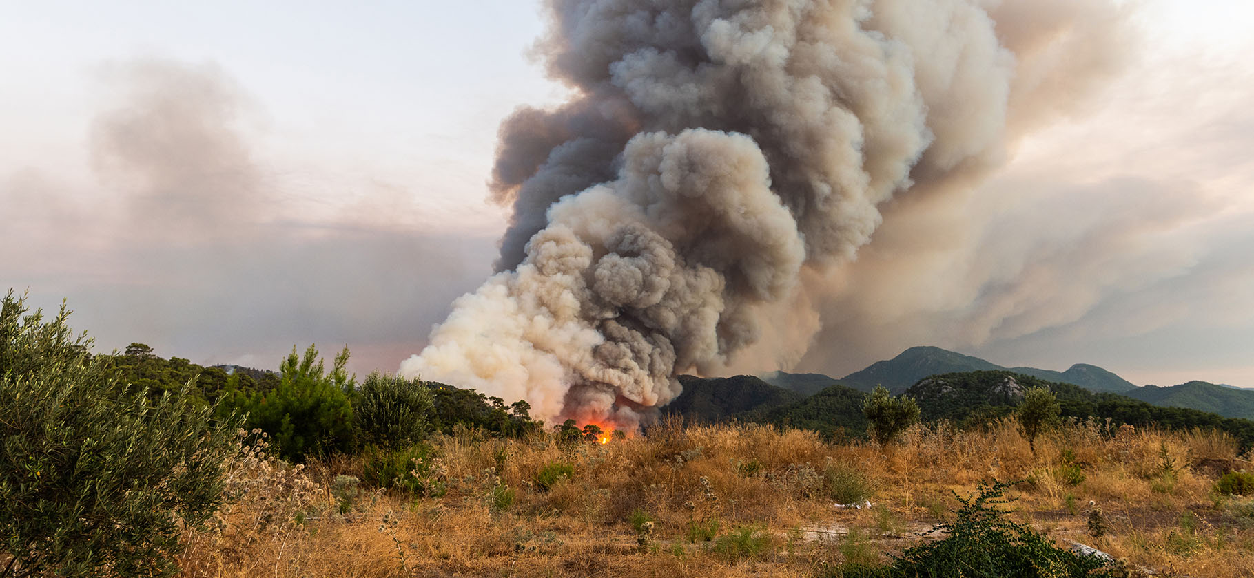 Турция охвачена лесными пожарами. Что нужно знать туристам