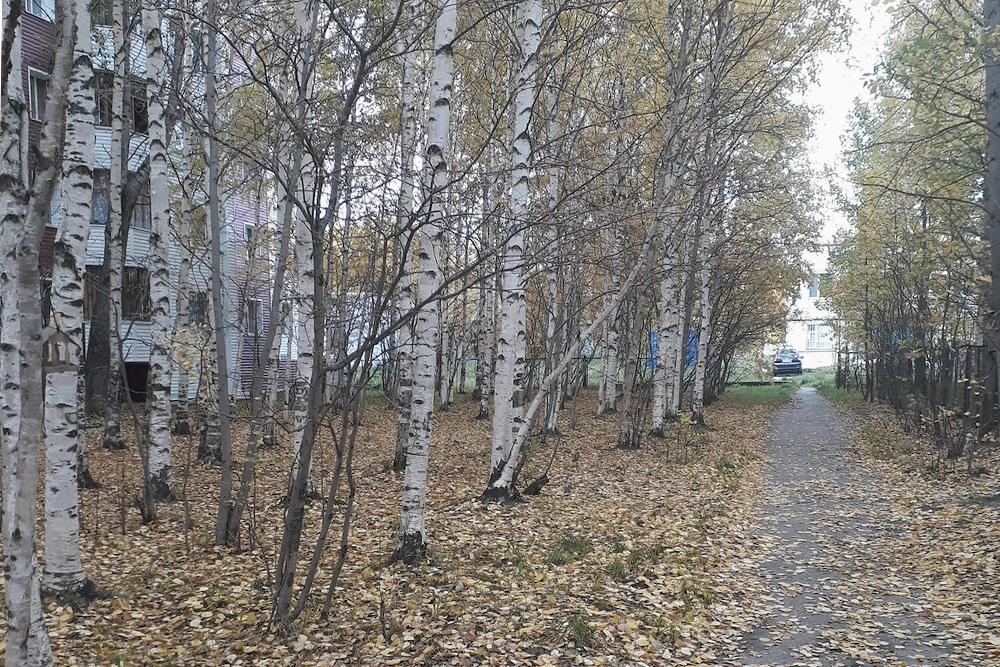 На улице +3 °C — холодно, пора шапку надевать