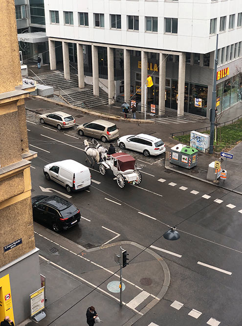 Под моим окном каждый день проезжают кареты в направлении старого центра. Типичная Вена