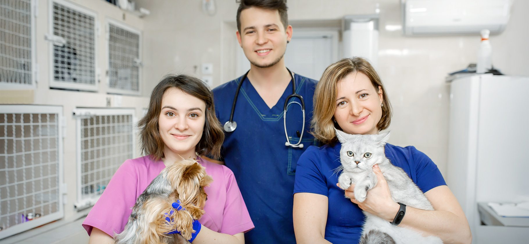 Как выбрать ветеринарную клинику и врача
