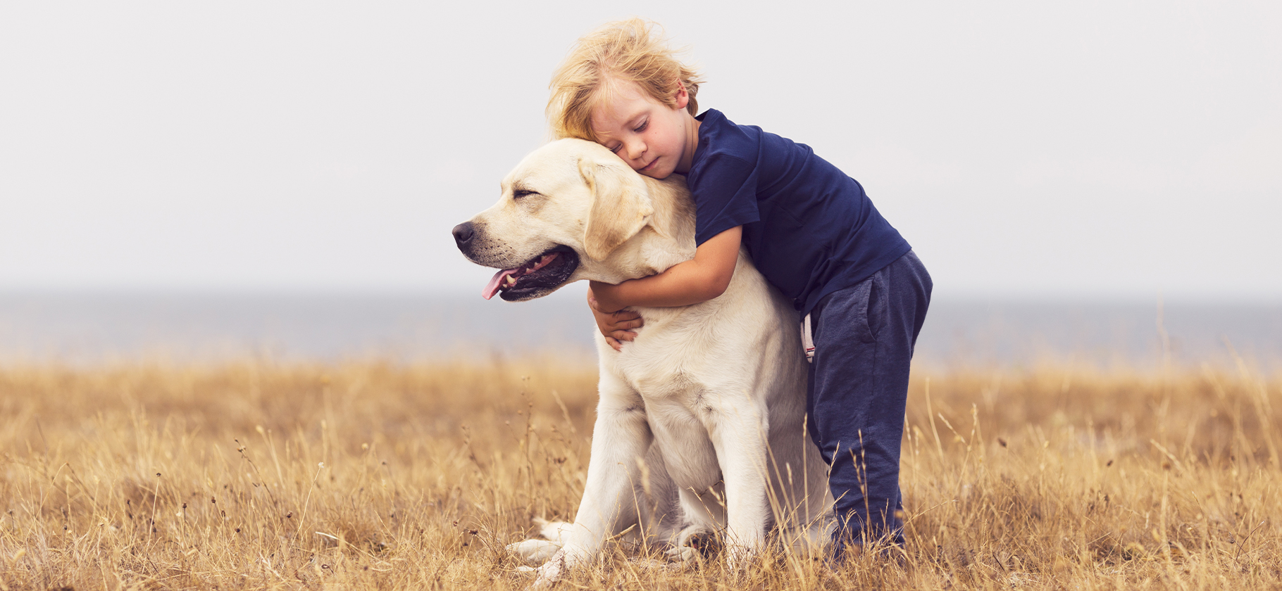 7 пород собак, которые подходят для семьи с ребенком