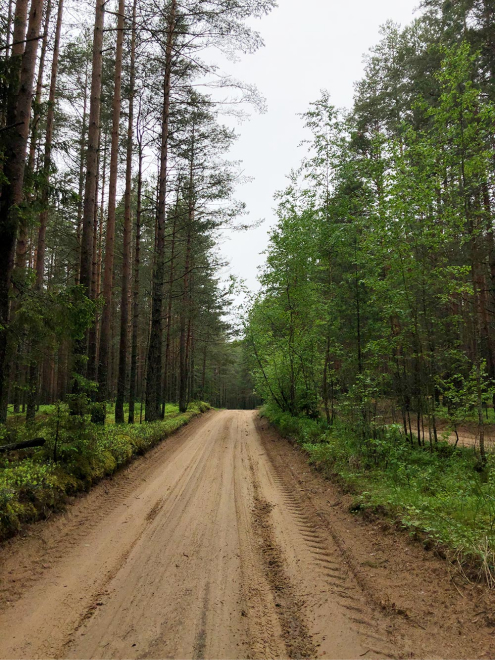 Дороги для поездки мы выбираем грунтовые, потому что там меньше машин и людей и больше природы