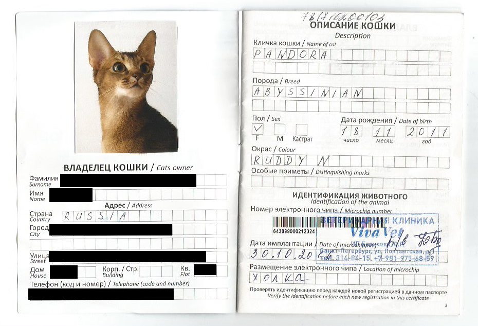 Загранпаспорт кота