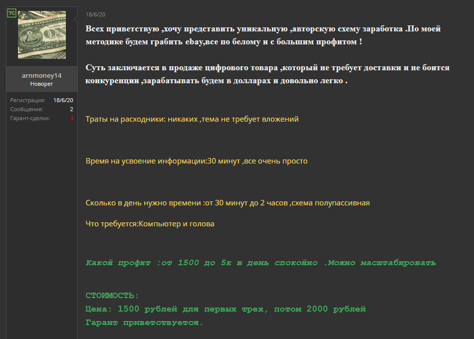 Примерно так выглядит типичное объявление на сайте. Вложений не надо, требуется только компьютер и голова — будем грабить «Ибэй», но полупассивно