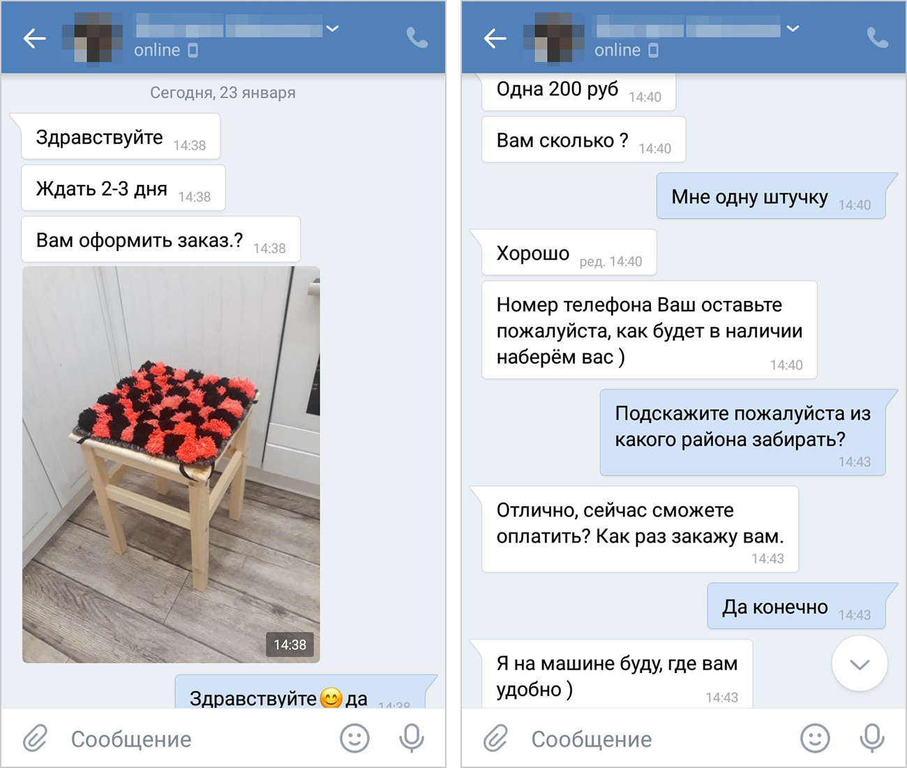 Вместо Любы подписчице написала мошенница, изображавшая помощницу