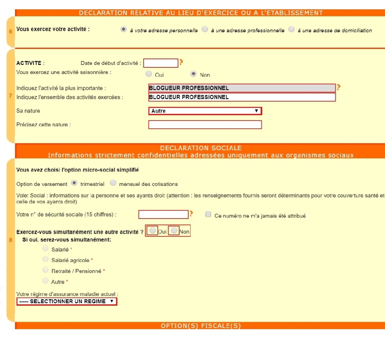 Еще надо указать дату начала работы предприятия, вид деятельности, например профессиональный блогер, номер медицинской страховки. Налоги можно платить раз в один или три месяца