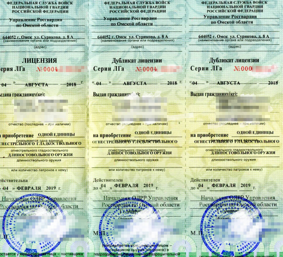 Так выглядит лицензия на приобретение оружия. Источник: «Горком NNN»