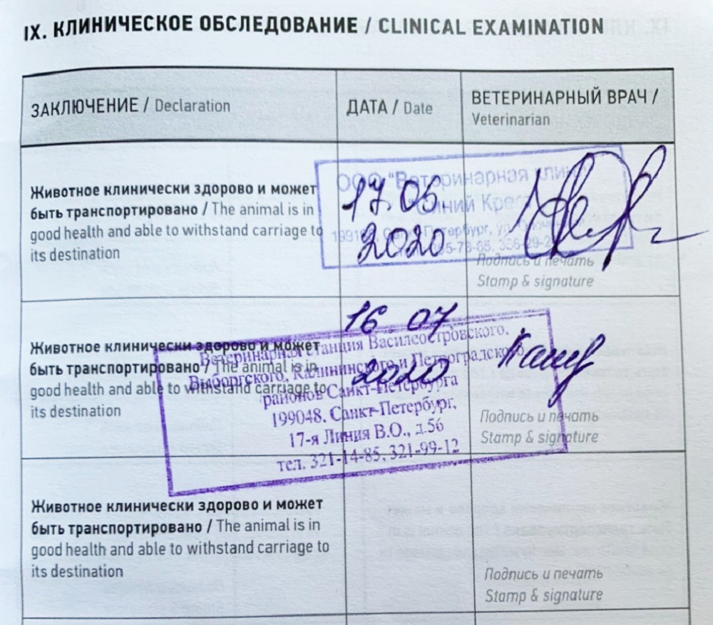 Страница ветпаспорта с отметкой о здоровье Фибы. Нам поставили отметку о здоровье только в Питере. Если верить Россельхознадзору, она действительна три месяца