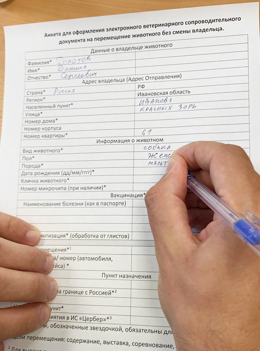 Анкета для оформления ветеринарного свидетельства в Ивановской городской станции по борьбе с болезнями животных