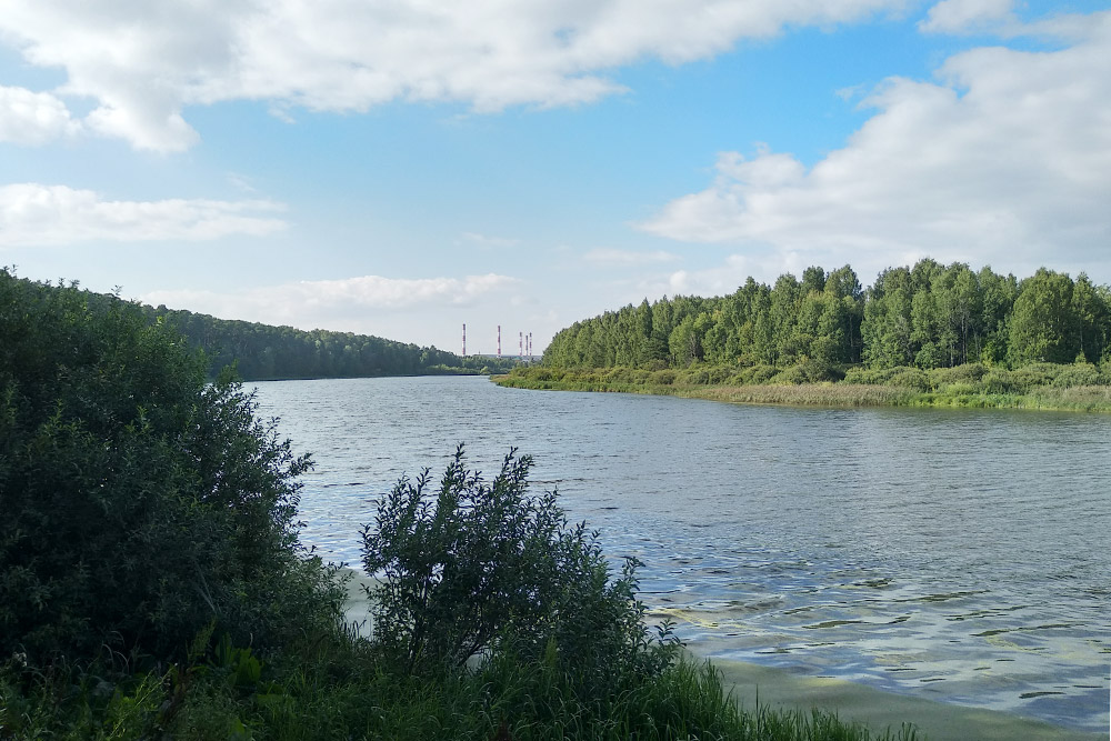 Вид на озеро Кривое со смотровой площадки
