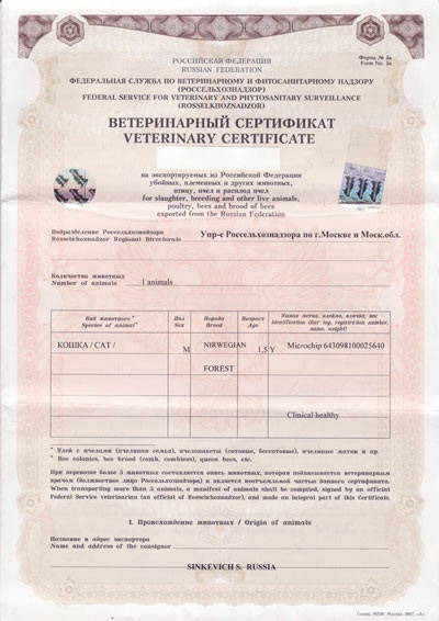 Международный сертификат формы 5А