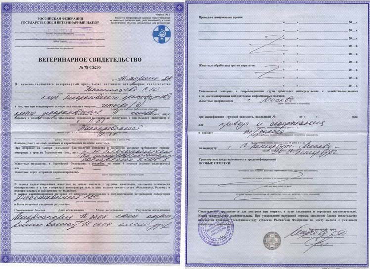 Ветеринарное свидетельство, лицевая и оборотная стороны