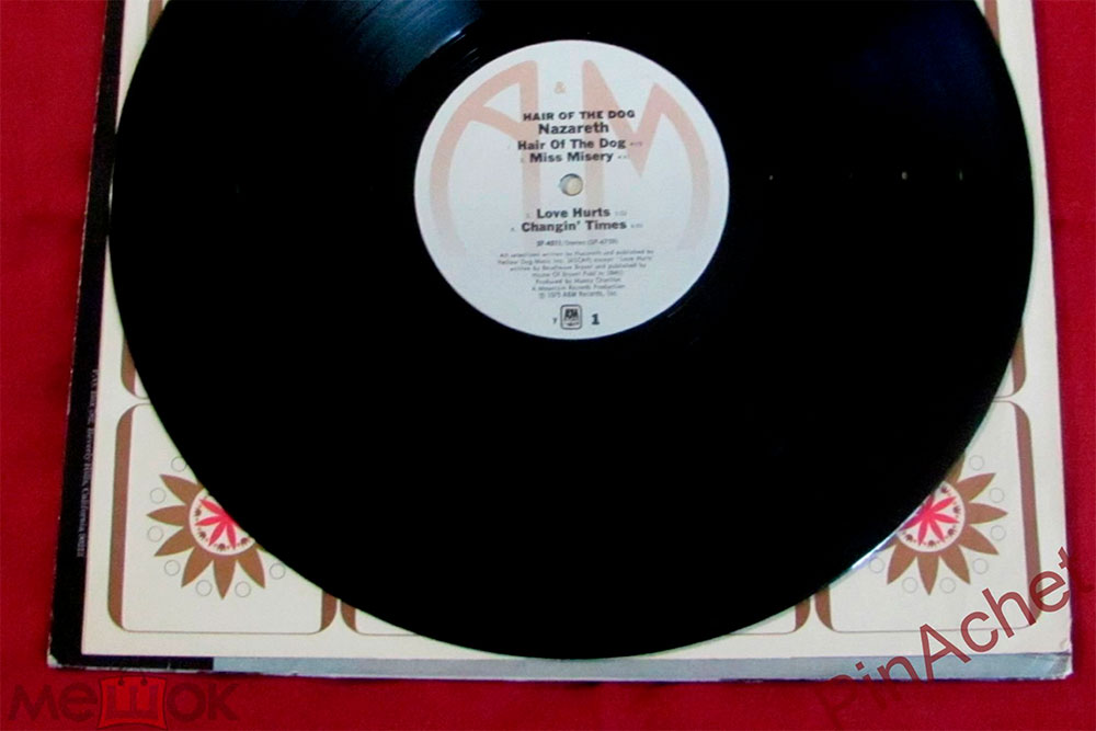 Американский первопресс Hair of the Dog выпущен фирмой A&M; Records. Причем в США на этом лейбле до 1982 года выходили и переиздания. Пятаки оригинала и следующих выпусков почти не различались. Альбом от американцев стоит сегодня около 3300 <span class=ruble>Р</span>