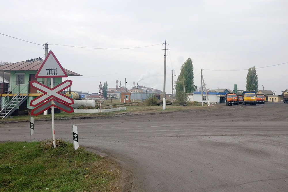 Осенью, после сбора урожая, свеклу привозят машинами и поездами