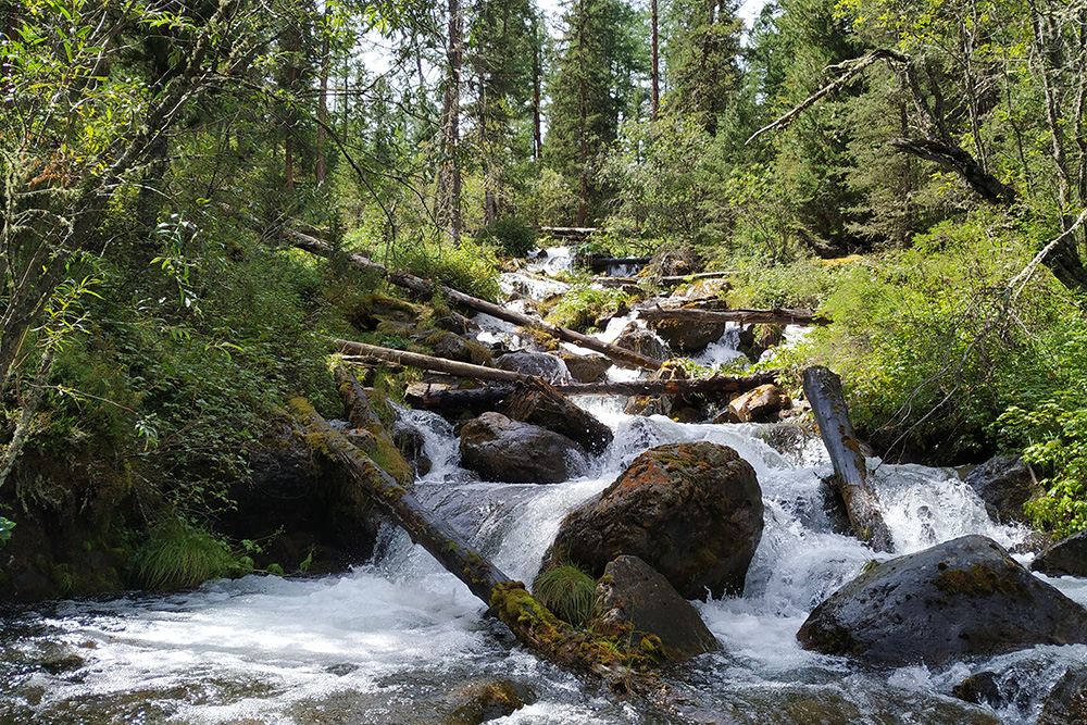 Ручей Орой стекает с горы и образует живописные водопады. Всю воду для питья и приготовления еды мы брали из ручьев, рек и озер