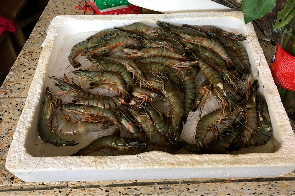 Можно самим выбрать рыбу и морепродукты и попросить приготовить в соседнем ресторане. Такие креветки стоили по 3 лари за штуку