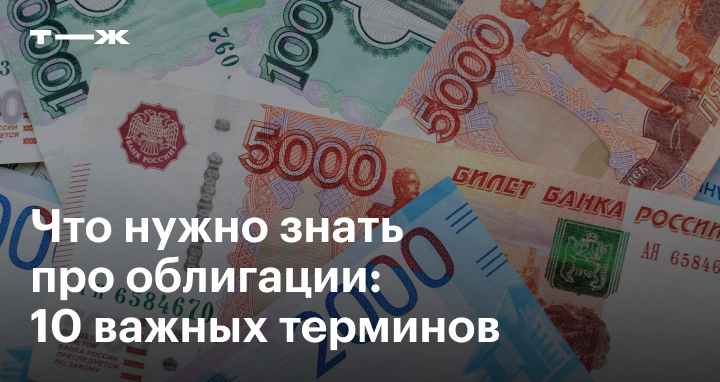 Облигации: основные понятия о долговых ценных бумагах в одной полезной подборке