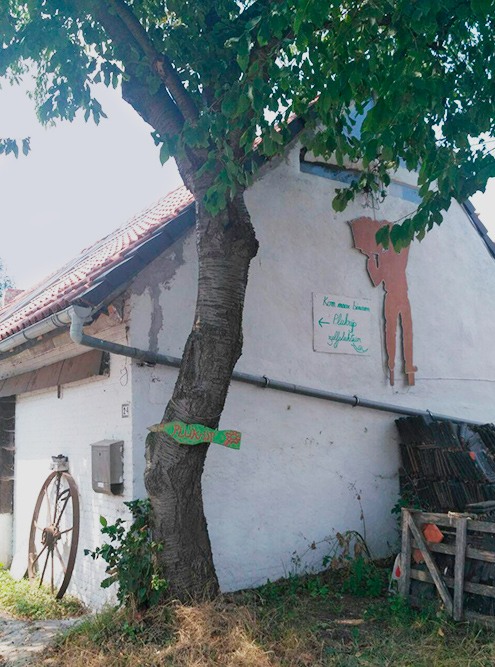 Дом, где живут Фрэнк и Мартина. В нем располагается зимняя кухня и библиотека, проходят общие собрания