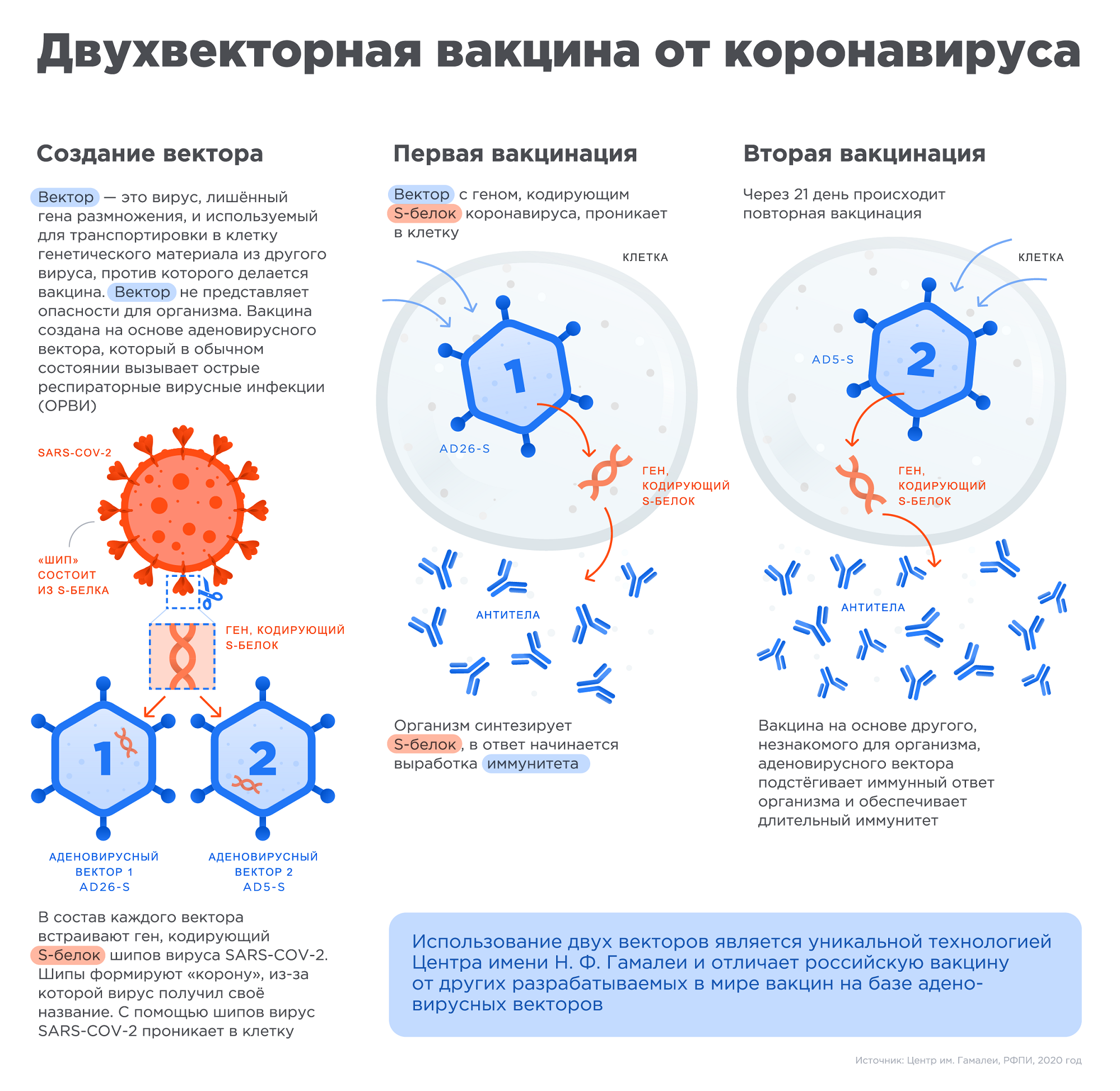 На официальном сайте вакцины объясняется, как работает «Спутник V»