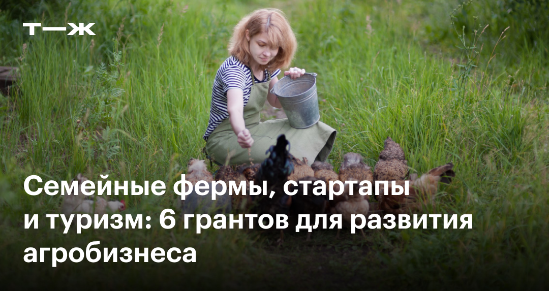 Грант для строительства теплицы