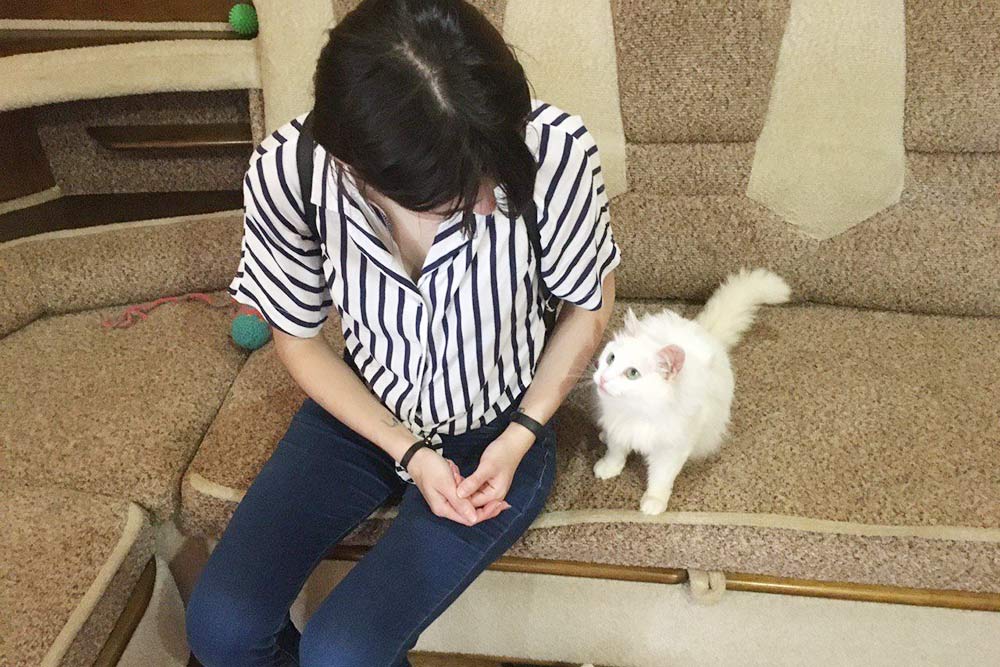 Большинство собак и кошек в приюте ласковые, сразу пытаются обратить на себя внимание