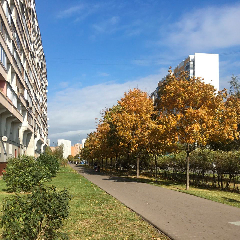 Я люблю гулять по городу одна
