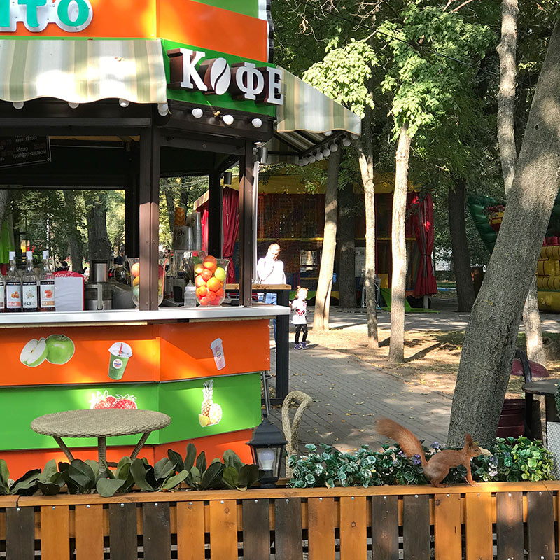 Вот одна, прямо на заборе