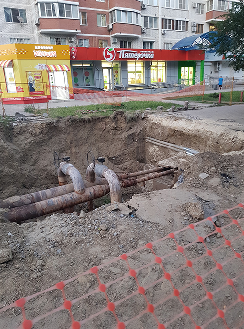 Но подобные картины вызывают нежнейшие чувства