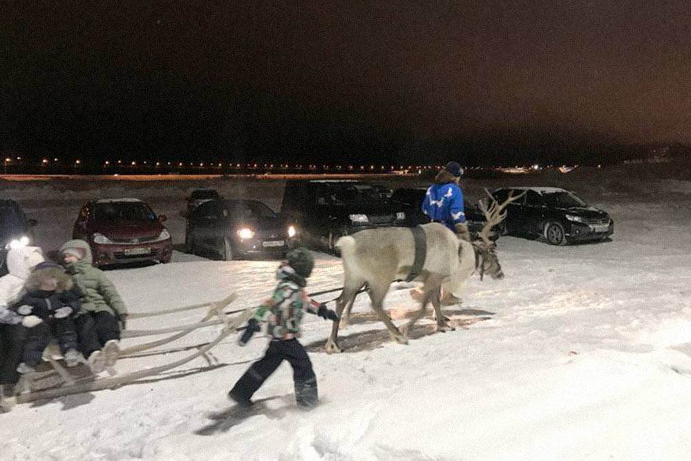 Сын смог бесплатно покататься на санях с оленями