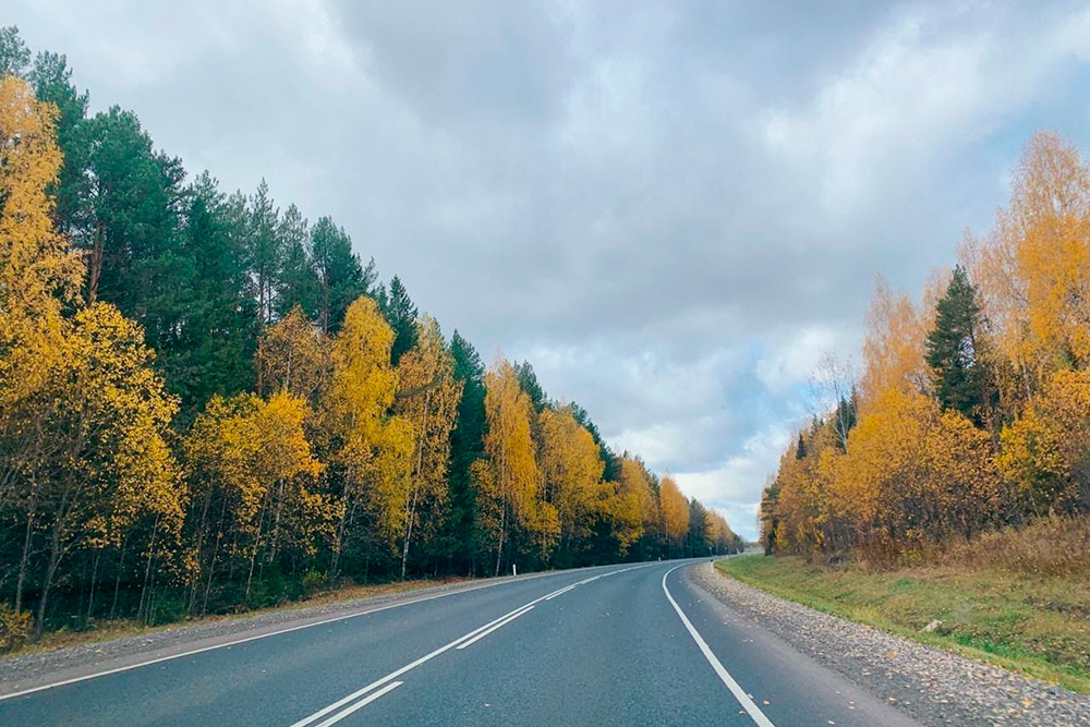 Пейзажи по дороге к бабушке