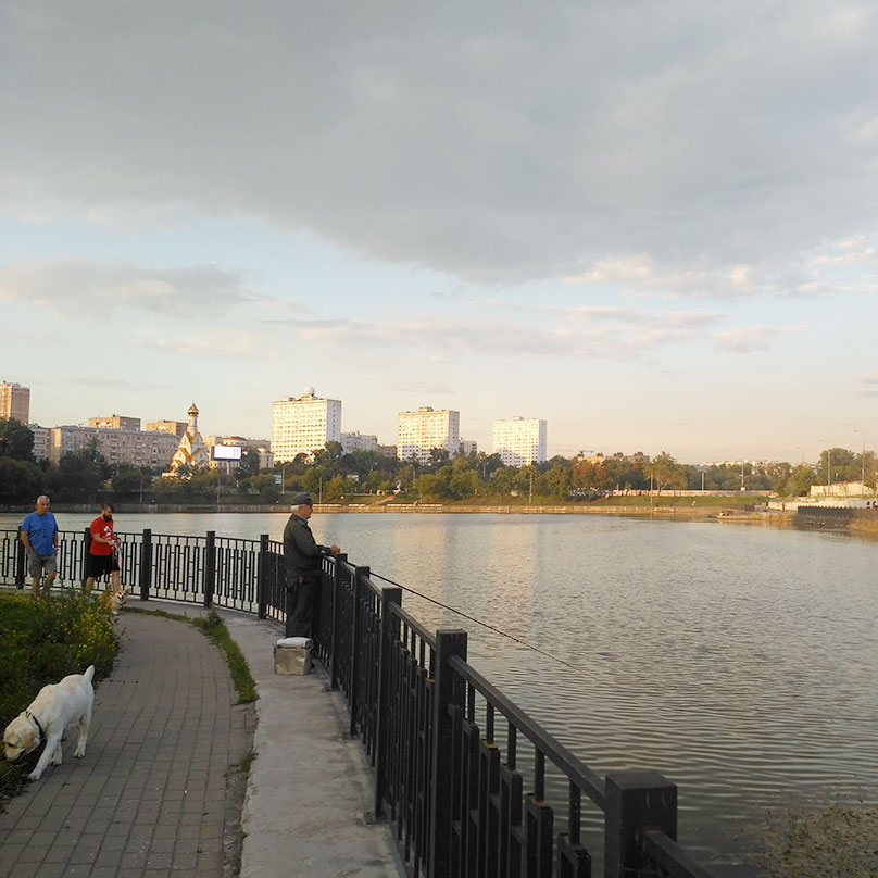 Не знаю, безопасно ли есть московскую рыбу, но рыбаки на набережной стоят постоянно