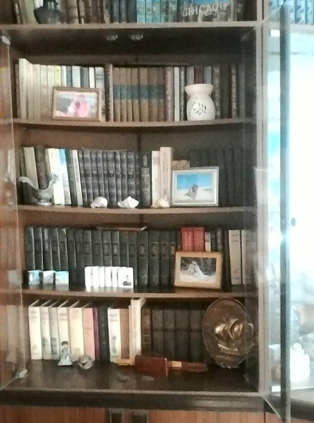 Мои книжные полки
